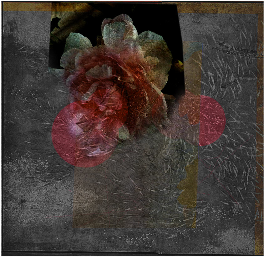 Miriam Bossard Project - Collages - Mixed media