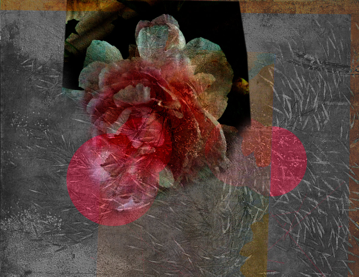 Bossard Wettstein Project - Collages - Mixed media