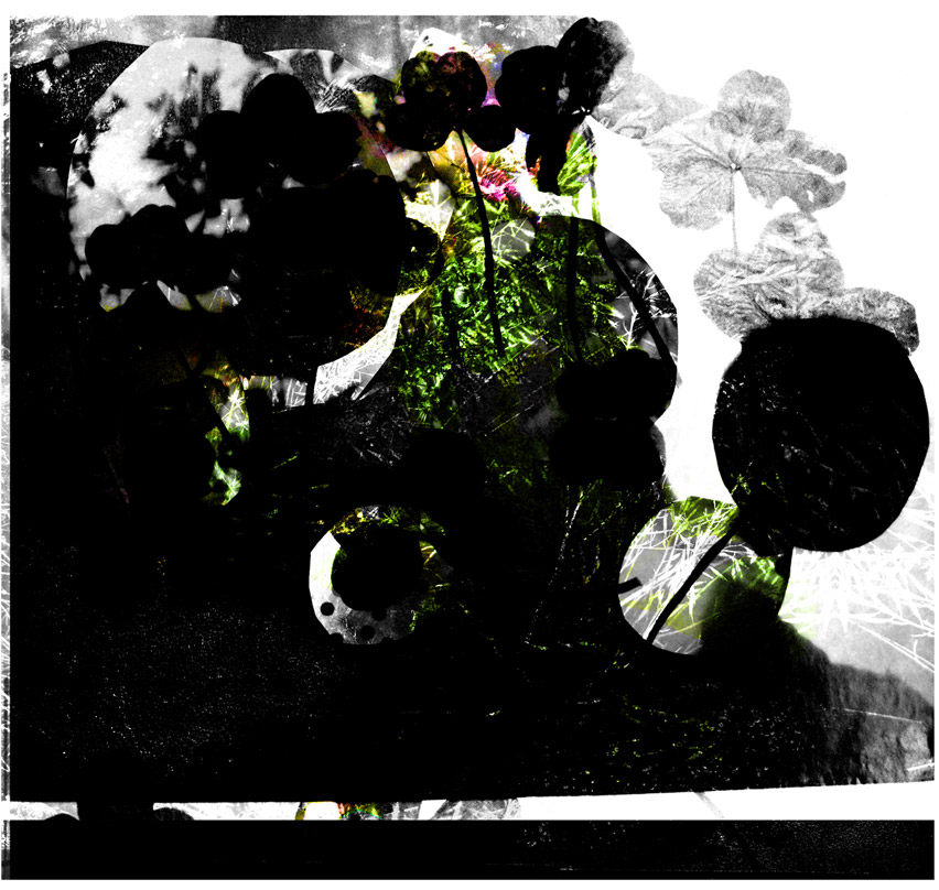 Miriam Bossard Project - Collages - Mixed media