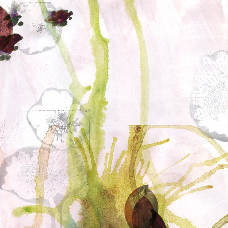 Miriam Bossard Project - No Title - Mixed media