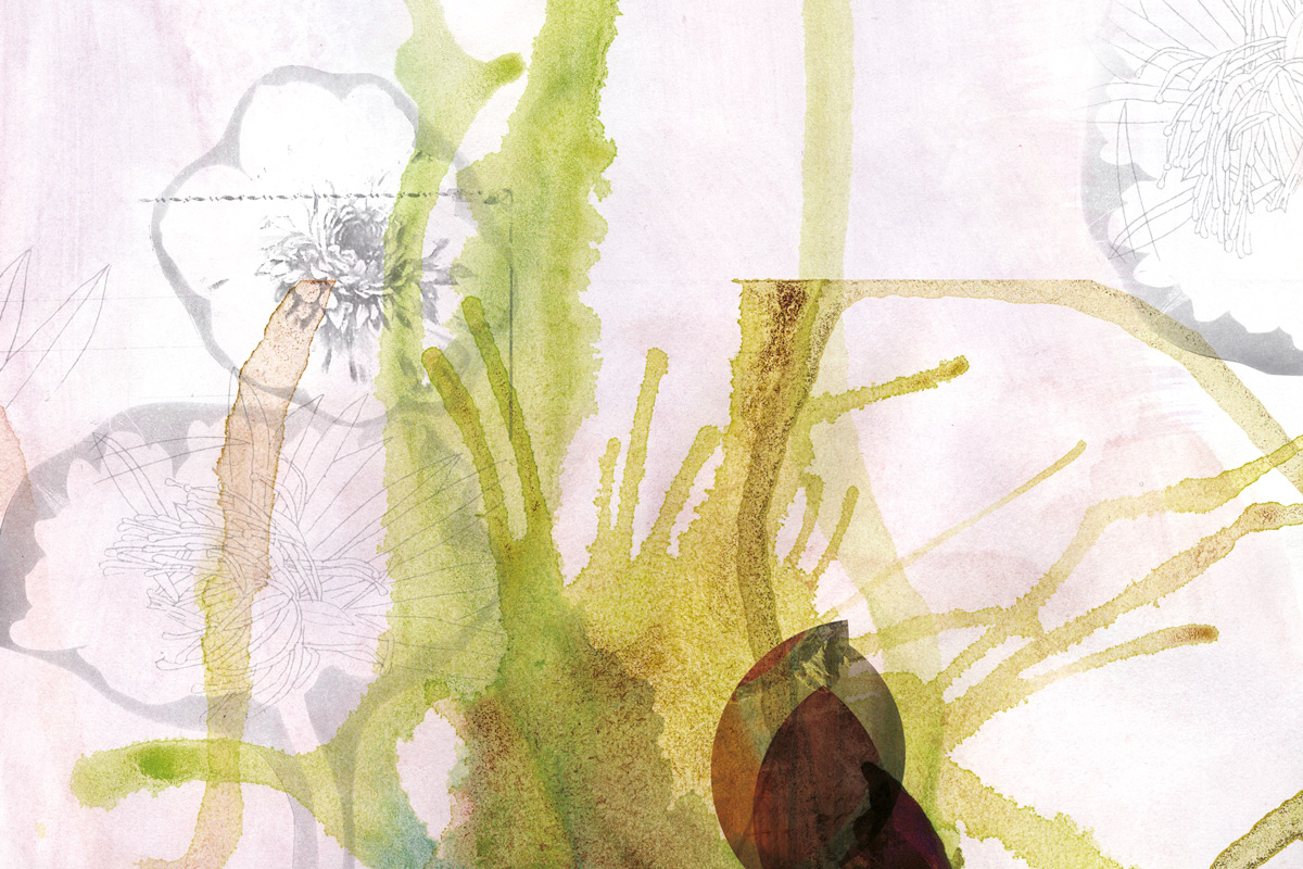 Bossard Wettstein Project - No Title - Mixed media