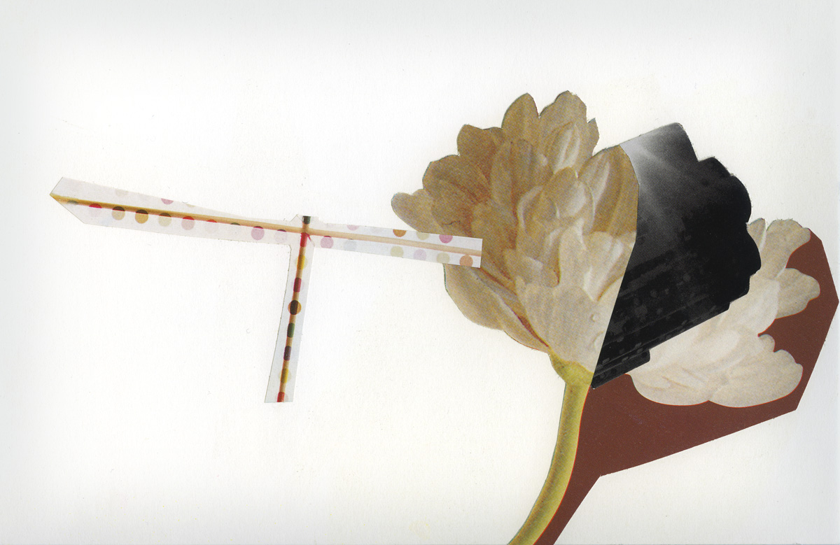 Bossard Wettstein Project - Collages - Cut-out papers