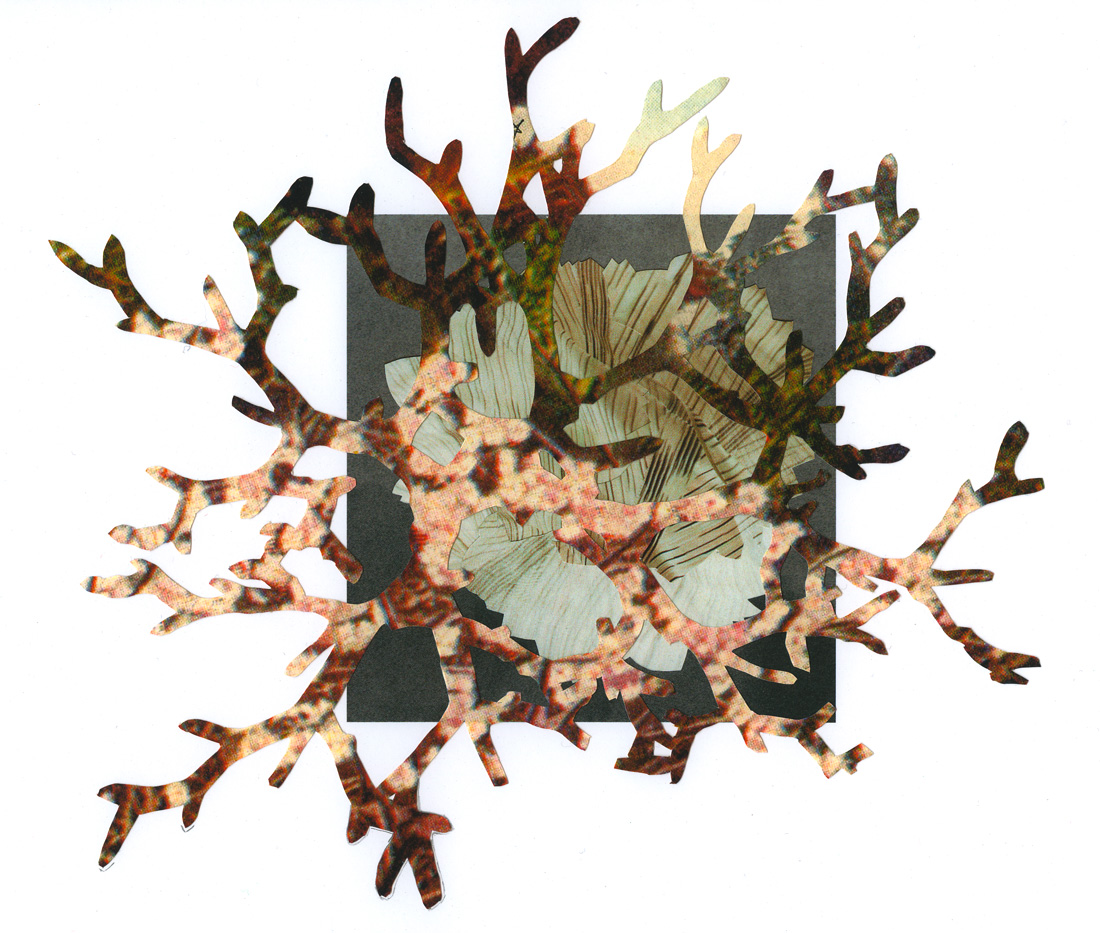 Miriam Bossard Project - Collages - Cut-out papers