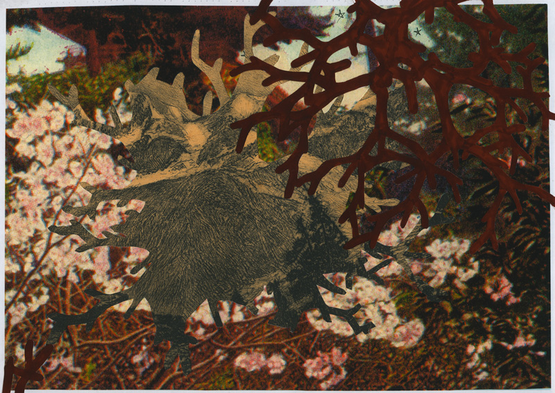 Miriam Bossard Project - Collages - Cut-out papers