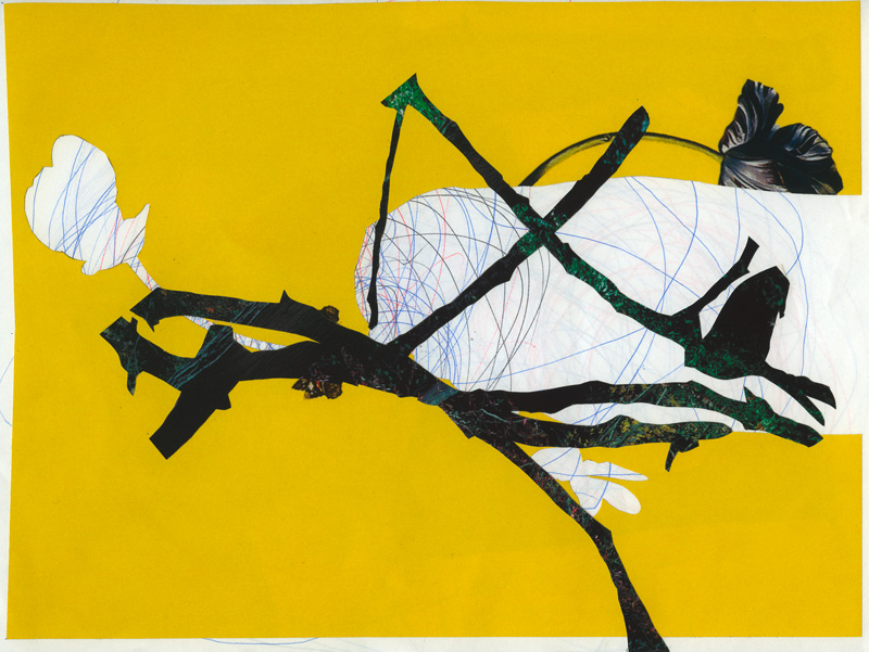Miriam Bossard Project - Collages - Cut-out papers