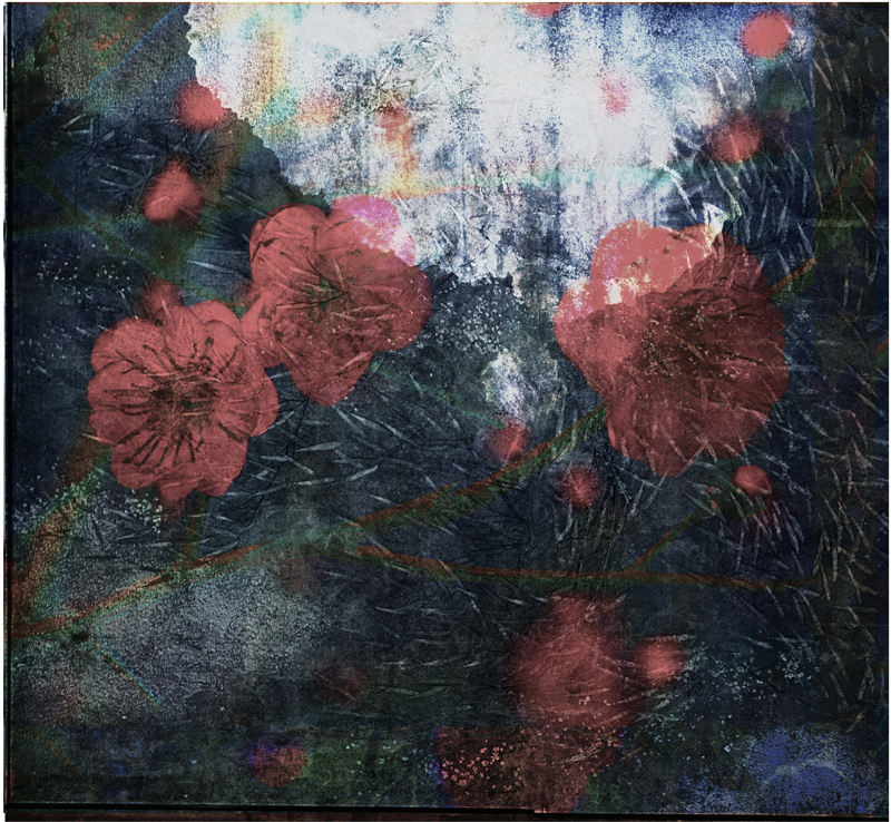 Miriam Bossard Project - Collages - Mixed media