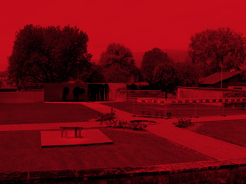 Miriam Bossard Project - Performances / Interventions - 2011 – 2025 (Selection)